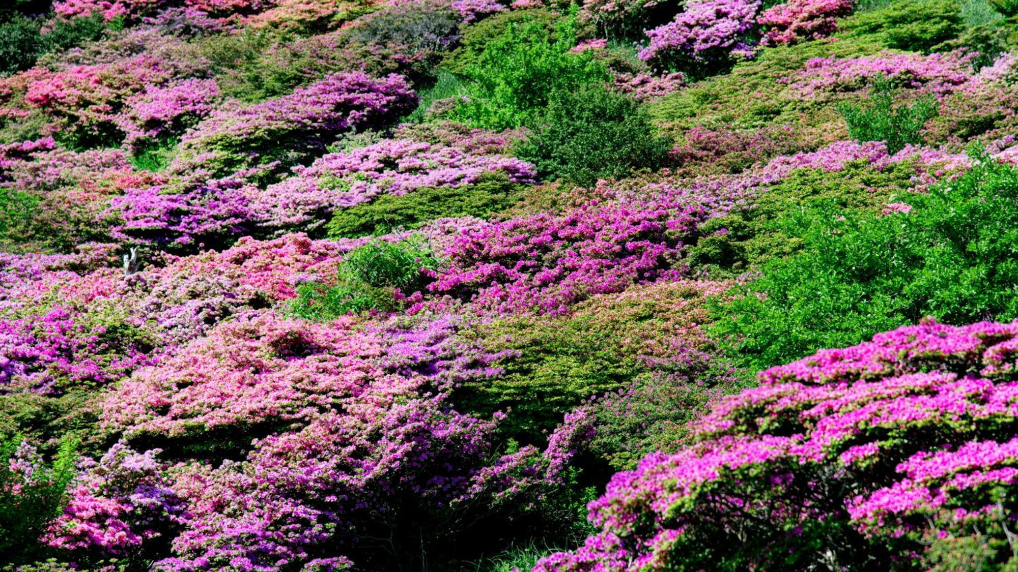 운젠 이와키 료칸 외부 사진